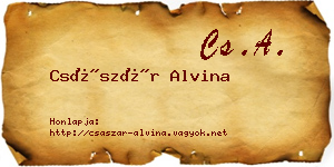 Császár Alvina névjegykártya